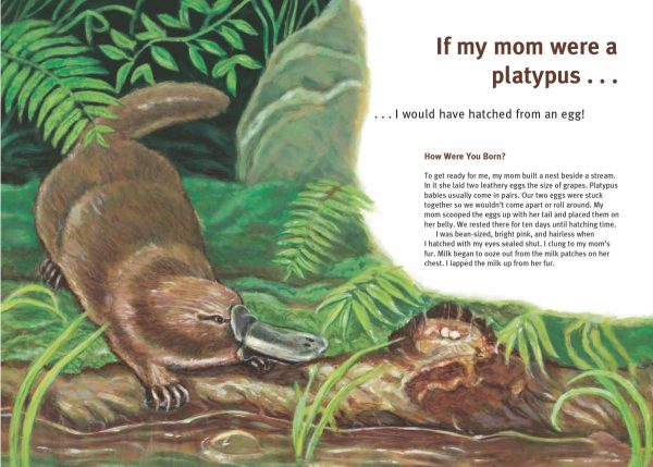 Product Image for  If My Mom Were a Platypus: Mammal Babies and their Mothers