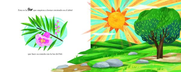 Product Image for  This Is the Sun English and Spanish Duo