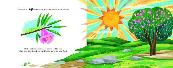 Product Image for  This Is the Sun English and Spanish Duo