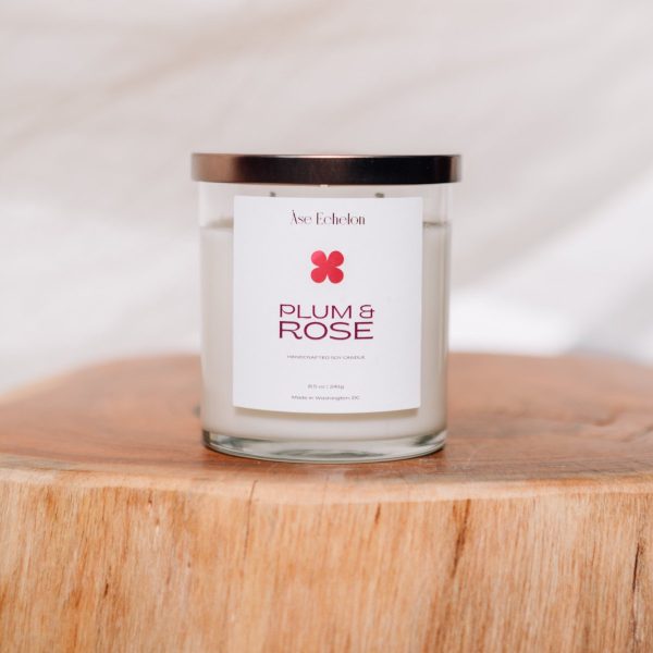 Product Image for  Plum & Rose