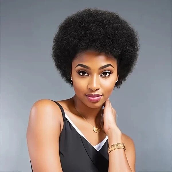 Product Image for  UNISEX SHORT BLACK AFRO WIG