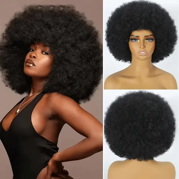 Product Image for  UNISEX BLACK AFRO CURLY WIG