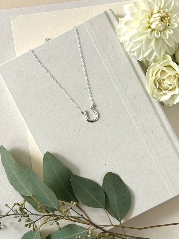 Product Image for  SILVER GEO HORSESHOE NECKLACE