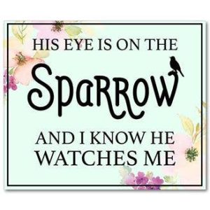 Product Image for  Eye On The Sparrow Wall Plaque